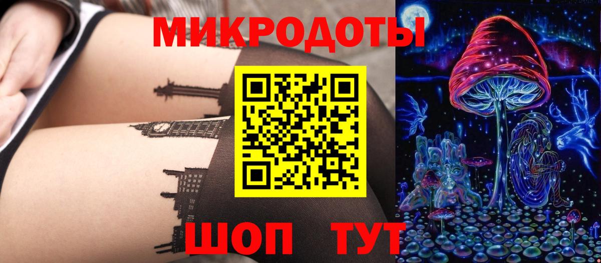 Галлюциногенные грибы прущие грибы Кизилюрт