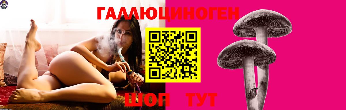 Галлюциногенные грибы прущие грибы  Вход с VPN  закладка  Кизилюрт  Псилоцибиновые грибы Cubensis 